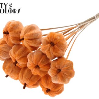 QC Fluwelen Pompoen op stok | Kleur: Oranje | Pompoen Bijsteker | Diameter pompoen 6 centimeter | Lengte ± 50 centimeter | 10 bijstekers per bos