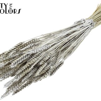 QC Gedroogde Tarwe | Kleur: Platinakleurig + Glitter | Triticum Droogbloemen | Lengte ± 60 centimeter | Gewicht 220 gram | Per bos