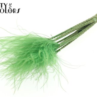QC Gedroogd Stipa Vedergras | Kleur: Lichtgroen | Stypha Penata Droogbloemen | Lengte ± 60 centimeter | 10 pluimpjes per bos | Per bos