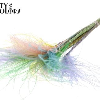 Gedroogd Stipa Vedergras “Pastel Prism” | Kleur: Gemengde Kleuren | Stypha Penata Droogbloemen | Lengte ± 60 centimeter | 10 pluimpjes per bos | Per bos