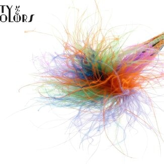 Gedroogd Stipa Vedergras “Neon Dusk” | Kleur: Gemengde Kleuren | Stypha Penata Droogbloemen | Lengte ± 60 centimeter | 10 pluimpjes per bos | Per bos
