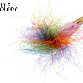QC Gedroogd Stipa Vedergras “Neon Dusk” | Kleur: Gemengde Kleuren | Stypha Penata Droogbloemen | Lengte ± 60 centimeter | 10 pluimpjes per bos | Per bos