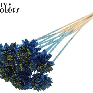 Shola Zinnia Bloem op stok | Kleur: Gespetterd Blauw Geel | Shola Zinia | Diameter 6 centimeter | Lengte ± 50 centimeter | 10 bijstekers per bos | Per bos