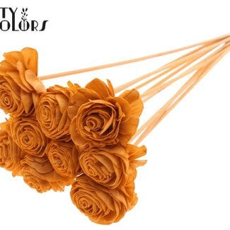 Shola Rozen op stok | Kleur: Terracotta | Shola Beauty Rose | Diameter 6 centimeter | Lengte ± 50 centimeter | 10 bijstekers per bos | Per bos