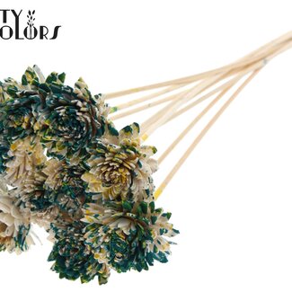 Shola Zinnia Bloem op stok | Kleur: Meerkleurig Groen Geel | Shola Zinia | Diameter 6 centimeter | Lengte ± 50 centimeter | 10 bijstekers per bos | Per bos