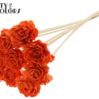 Shola Dahlia met was op stok | Kleur: Oranje | Shola Dhalya | Diameter 6 centimeter | Lengte ± 50 centimeter | 10 bijstekers per bos | Per bos