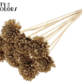 Shola Zinnia Bloem op stok | Kleur: Antiek Goudkleurig | Shola Zinia | Diameter 6 centimeter | Lengte ± 50 centimeter | 10 bijstekers per bos | Per bos