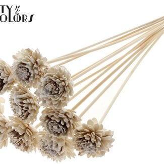 Shola Zinnia met was op stok | Kleur: Wit | Shola Zinia | Diameter 6 centimeter | Lengte ± 50 centimeter | 10 bijstekers per bos | Per bos