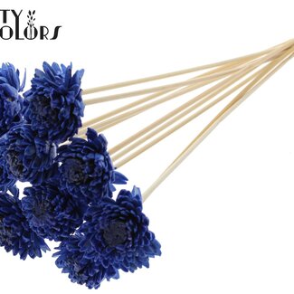 Shola Zinnia met was op stok | Kleur: Blauw | Shola Zinia | Diameter 6 centimeter | Lengte ± 50 centimeter | 10 bijstekers per bos | Per bos