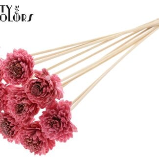 Shola Zinnia met was op stok | Kleur: Lichtroze | Shola Zinia | Diameter 6 centimeter | Lengte ± 50 centimeter | 10 bijstekers per bos | Per bos