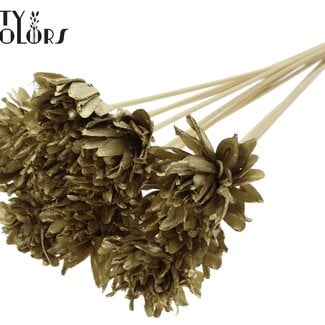 QC Shola-Blume auf Stab | Farbe: Goldfarben | Shola Slice Pine | Durchmesser 6 Zentimeter | Länge ± 50 Zentimeter | 10 Beistecker pro Bund | Pro Bund