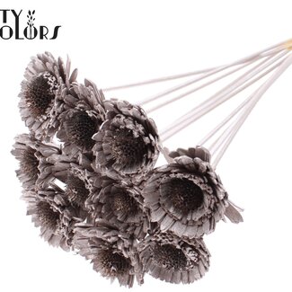 Shola Madelief Zonnebloem op stok | Kleur: Champagnekleurig | Shola Daisy Sunflower | Diameter 6 centimeter | Lengte ± 50 centimeter | 10 bijstekers per bos | Per bos