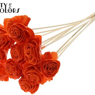 Shola Rozen met was op stok | Kleur: Oranje | Shola Beauty Rose | Diameter 6 centimeter | Lengte ± 50 centimeter | 10 bijstekers per bos | Per bos