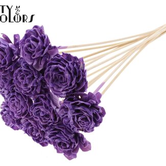 Shola Dahlia met was op stok | Kleur: Milkapaars | Shola Dhalya | Diameter 6 centimeter | Lengte ± 50 centimeter | 10 bijstekers per bos | Per bos