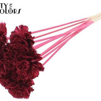 Shola Karnish Bloem op stok | Kleur: Bordeauxrood | Diameter 6 centimeter | Lengte ± 50 centimeter | 10 bijstekers per bos | Per bos