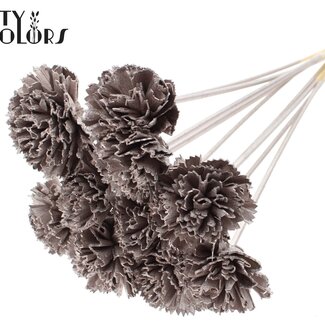 Shola Karnish Bloem op stok | Kleur: Champagnekleurig | Diameter 6 centimeter | Lengte ± 50 centimeter | 10 bijstekers per bos | Per bos