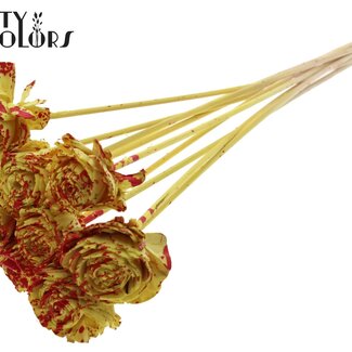 Shola Rozen op stok | Kleur: Gespetterd Geel Rood | Shola Beauty Rose | Diameter 6 centimeter | Lengte ± 50 centimeter | 10 bijstekers per bos | Per bos