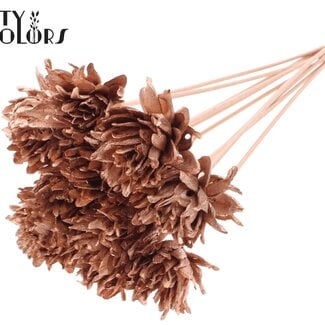 QC Shola Blume am Stiel | Farbe: kupferfarben | Shola Slice Pine | Durchmesser 6 centimeter | Länge ± 50 centimeter | 10 Stecker pro Bund | Pro Bund