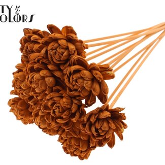 Shola Rozen op stok | Kleur: Terracotta | Shola New Beauty Rose | Diameter 6 centimeter | Lengte ± 50 centimeter | 10 bijstekers per bos | Per bos