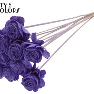 Shola Rozen op stok | Kleur: Milkapaars | Shola Beauty Rose | Diameter 6 centimeter | Lengte ± 50 centimeter | 10 bijstekers per bos | Per bos