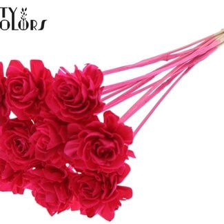 Shola Rozen op stok | Kleur: Kerskleurig | Shola Beauty Rose | Diameter 6 centimeter | Lengte ± 50 centimeter | 10 bijstekers per bos | Per bos