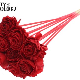 QC Shola Rozen op stok | Kleur: Rood | Shola Beauty Rose | Diameter 6 centimeter | Lengte ± 50 centimeter | 10 bijstekers per bos | Per bos