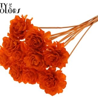Shola Rozen op stok | Kleur: Oranje | Shola Beauty Rose | Diameter 6 centimeter | Lengte ± 50 centimeter | 10 bijstekers per bos | Per bos