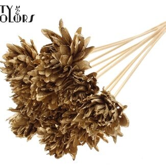 Shola Bloem op stok | Kleur: Antiek Goudkleurig | Shola Slice Pine | Diameter 6 centimeter | Lengte ± 50 centimeter | 10 bijstekers per bos | Per bos