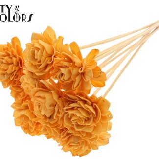 QC Shola Dahlia op stok | Kleur: Abrikooskleurig | Shola Dhalya | Diameter 6 centimeter | Lengte ± 50 centimeter | 10 bijstekers per bos | Per bos