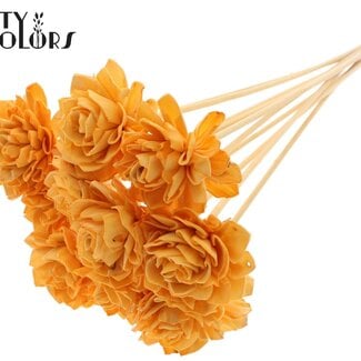 Shola Dahlia op stok | Kleur: Abrikooskleurig | Shola Dhalya | Diameter 6 centimeter | Lengte ± 50 centimeter | 10 bijstekers per bos | Per bos