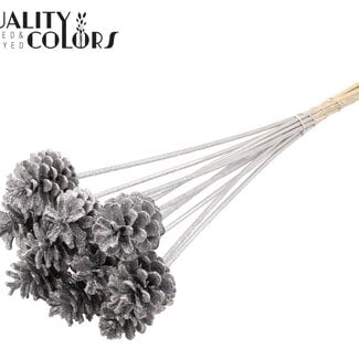 Dennenappel op stok | Kleur: Zilverkleurig met Glitter | Diameter 5 - 7 centimeter | Lengte ± 50 centimeter | 10 bijstekers per bos