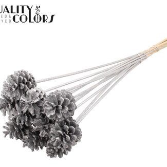 QC Dennenappel op stok | Kleur: Zilverkleurig met Glitter | Diameter 5 - 7 centimeter | Lengte ± 50 centimeter | 10 bijstekers per bos