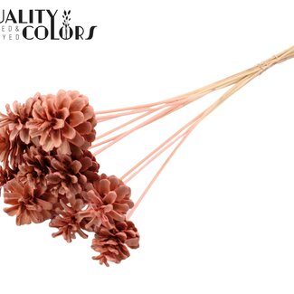 QC Gebleekte Dennenappel op stok | Kleur: Roze | Diameter 5 - 7 centimeter | Lengte ± 50 centimeter | 10 bijstekers per bos