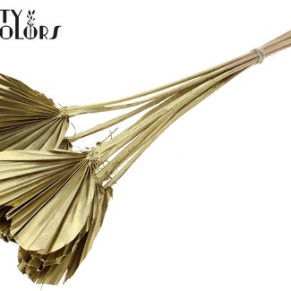 QC Gedroogde Palm Spear Heart | Kleur: Goudkleurig | Palmbladeren in Hartvorm | Lengte ± 45 centimeter | 10 takken per bos | Per bos