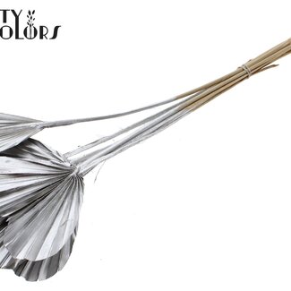 QC Gedroogde Palm Spear Heart | Kleur: Zilverkleurig | Palmbladeren in Hartvorm | Lengte ± 45 centimeter | 10 takken per bos | Per bos