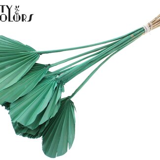 QC Gedroogde Palm Spear Heart | Kleur: Frosted Mintgroen | Palmbladeren in Hartvorm | Lengte ± 45 centimeter | 10 takken per bos | Per bos