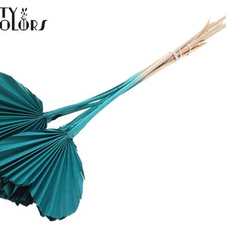 QC Gedroogde Palm Spear Heart | Kleur: Turquoise | Palmbladeren in Hartvorm | Lengte ± 45 centimeter | 10 takken per bos | Per bos