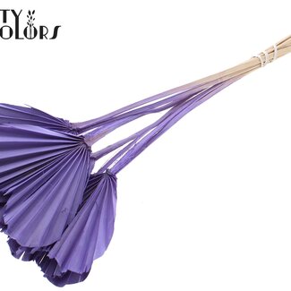 QC Gedroogde Palm Spear Heart | Kleur: Frosted Milkapaars | Palmbladeren in Hartvorm | Lengte ± 45 centimeter | 10 takken per bos | Per bos