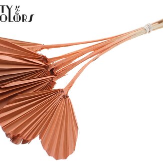 QC Gedroogde Palm Spear Heart | Kleur: Frosted Zalmkleurig | Palmbladeren in Hartvorm | Lengte ± 45 centimeter | 10 takken per bos | Per bos