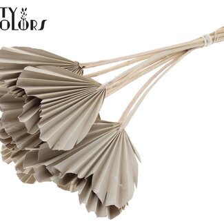 QC Dried Palm Spear Heart | Colour: Frosted White | Heart-Shaped Palm Leaves | Length ± 45 centimetres | 10 stems per bunch | Per bunch