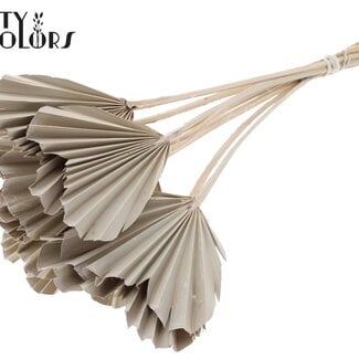 QC Gedroogde Palm Spear Heart | Kleur: Frosted Wit | Palmbladeren in Hartvorm | Lengte ± 45 centimeter | 10 takken per bos | Per bos
