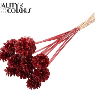 QC Dennenappel op stok | Kleur: Metallic Wijnrood met Glitter | Diameter 5 - 7 centimeter | Lengte ± 50 centimeter | 10 bijstekers per bos