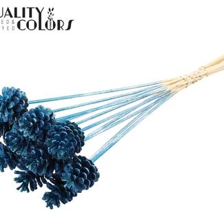 QC Dennenappel op stok | Kleur: Metallic Blauw met Glitter | Diameter 5 - 7 centimeter | Lengte ± 50 centimeter | 10 bijstekers per bos