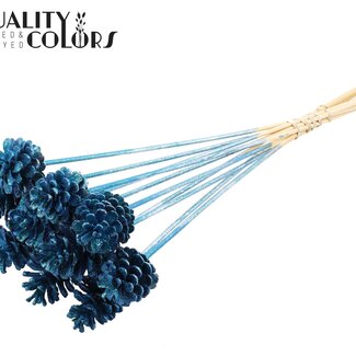 QC Tannenzapfen auf Stiel | Farbe: Metallic Blau mit Glitzer | Durchmesser 5 - 7 Zentimeter | Länge ± 50 Zentimeter | 10 Einstecker pro Bund