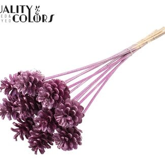 QC Dennenappel op stok | Kleur: Metallic Roze met Glitter | Diameter 5 - 7 centimeter | Lengte ± 50 centimeter | 10 bijstekers per bos
