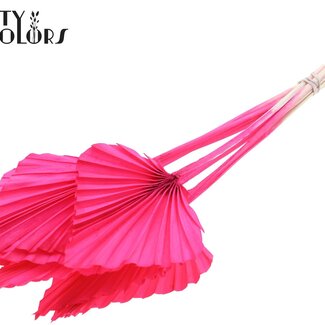 QC Gedroogde Gebleekte Palm Spear | Kleur: Kerskleurig | Palmbladeren in Speervorm | Lengte ± 55 centimeter | 10 takken per bos | Per bos