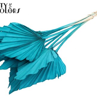 QC Gedroogde Gebleekte Palm Spear | Kleur: Turquoise | Palmbladeren in Speervorm | Lengte ± 55 centimeter | 10 takken per bos | Per bos