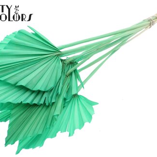 QC Gedroogde Gebleekte Palm Spear | Kleur: Mintgroen | Palmbladeren in Speervorm | Lengte ± 55 centimeter | 10 takken per bos | Per bos