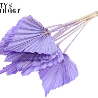 QC Gedroogde Gebleekte Palm Spear | Kleur: Milkapaars | Palmbladeren in Speervorm | Lengte ± 55 centimeter | 10 takken per bos | Per bos