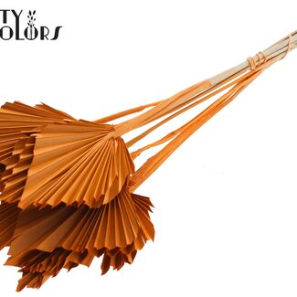 QC Gedroogde Palm Spear | Kleur: Oranje | Palmbladeren in Speervorm | Lengte ± 50 centimeter | 10 takken per bos | Per bos